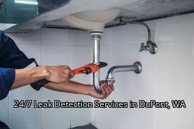 24/7 Leak Detection Services in DuPont, WA