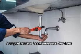 Comprehensive Leak Detection Services