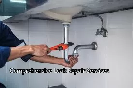 Comprehensive Leak Repair Services