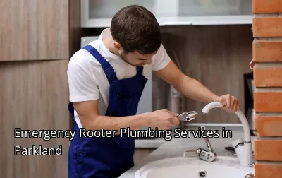 Emergency Rooter Plumbing Services in Parkland