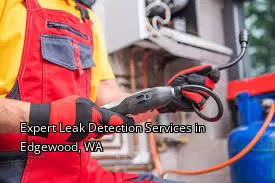 Expert Leak Detection Services in Edgewood, WA