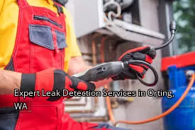 Expert Leak Detection Services in Orting, WA