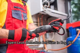 Expert Leak Detection Services in Roy, WA