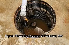 Expert Plumbing Services in Parkland, WA