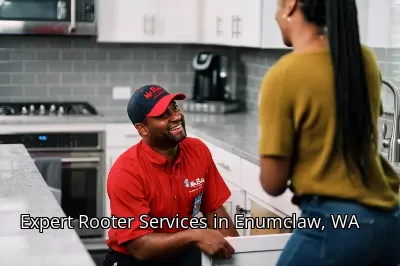 Expert Rooter Services in Enumclaw, WA