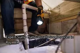 Expert Sump Pump Installation Services in Roy, WA