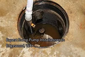 Expert Sump Pump Installations in Edgewood, WA