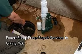 Expert Sump Pump Repair Services in Orting, WA