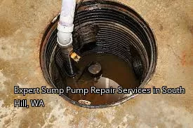 Expert Sump Pump Repair Services in South Hill, WA