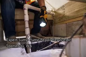 Expert Sump Pump Repair Services in Spanaway, WA