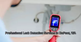 Professional Leak Detection Services in DuPont, WA