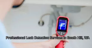 Professional Leak Detection Services in South Hill, WA