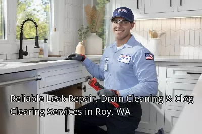 Reliable Leak Repair, Drain Cleaning & Clog Clearing Services in Roy, WA