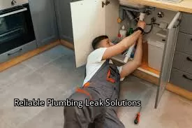 Reliable Plumbing Leak Solutions