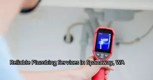 Reliable Plumbing Services in Spanaway, WA