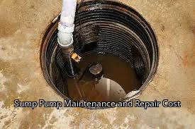 Sump Pump Maintenance and Repair Cost