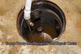 Sump Pump Maintenance and Repair Costs