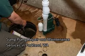 Sump Pump Repair and Maintenance Services in Parkland, WA