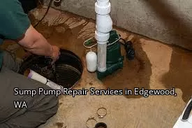 Sump Pump Repair Services in Edgewood, WA