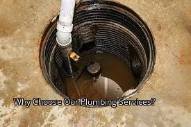 Why Choose Our Plumbing Services?