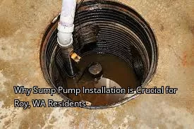Why Sump Pump Installation is Crucial for Roy, WA Residents