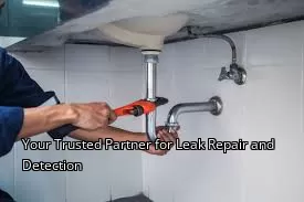 Your Trusted Partner for Leak Repair and Detection